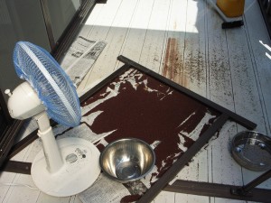 扇風機で吹き飛ばした