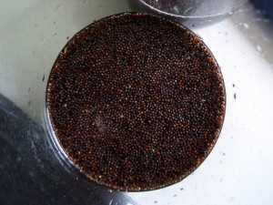 ヒタヒタってこんな感じかねぇ