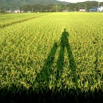 田舎で2年間生活してみて思ったこと(取材して貰いました)