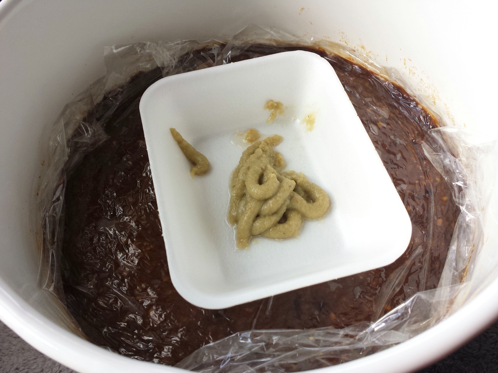 これが1年後。全くカビが生えていません。