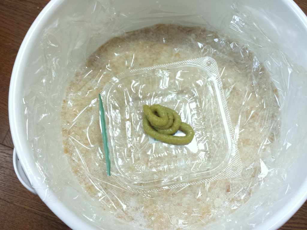 こんな感じで容器にムニューと出してフタをします。