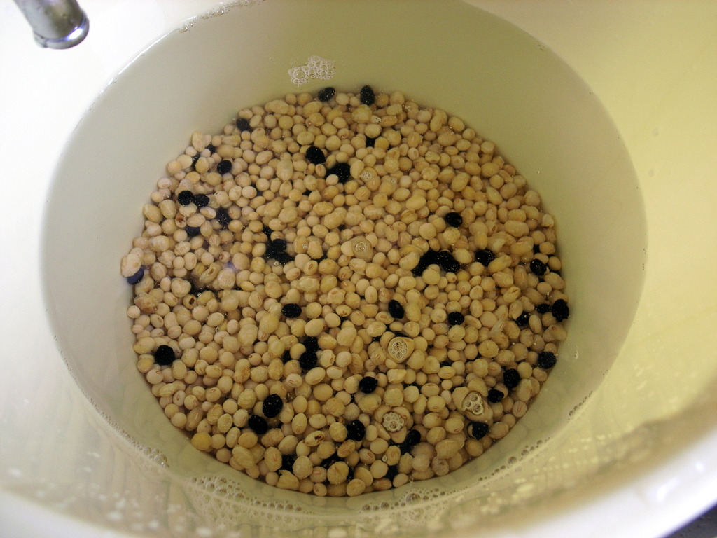 何度か水を換えます