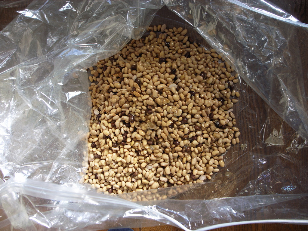 圧縮袋にだーっと入れる