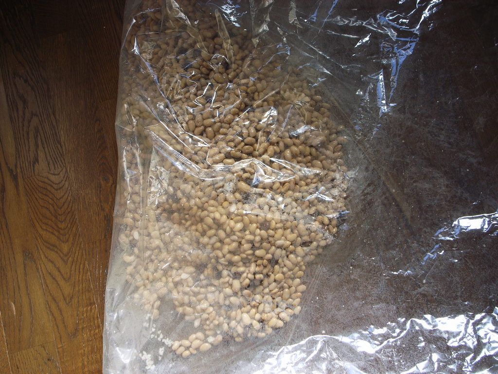 こんな状態になるので...