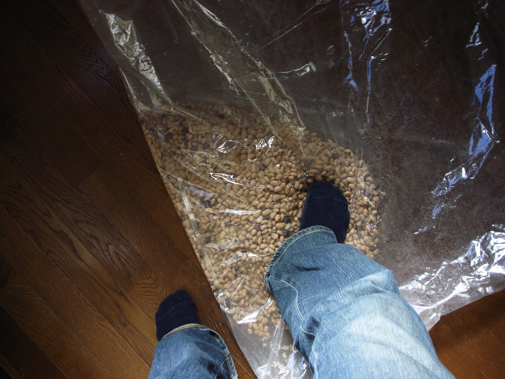 踏む!何とも言えない感触