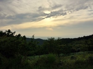 20140712_175915_Richtone(HDR)-001