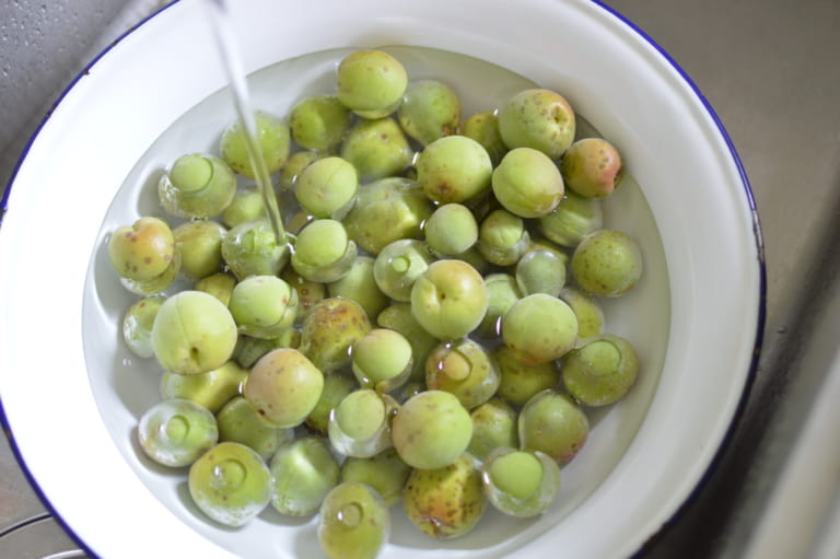 発酵しにくい簡単な梅シロップ 梅ジュースの作り方 もやし工房